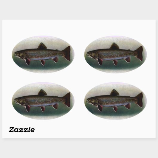 Eastern Brook Trout Painting Ovale Sticker (Vel)