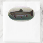 Eastern Brook Trout Painting Ovale Sticker (Tas)