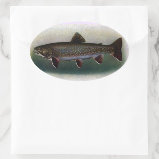 Eastern Brook Trout Painting Ovale Sticker (Tas)