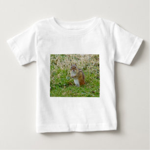 Eastern Chipmunk