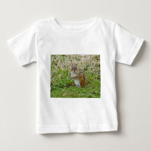 Eastern Chipmunk (Voorkant)