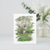 Eastern Chipmunk Briefkaart (Staand voorkant)