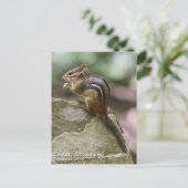 Eastern Chipmunk Briefkaart (Staand voorkant)