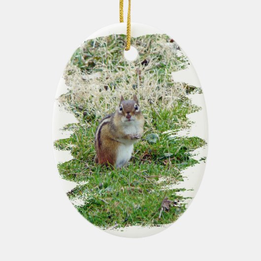 Eastern Chipmunk Keramisch Ornament (Achterkant)