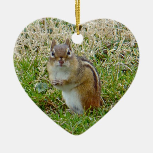 Eastern Chipmunk Keramisch Ornament (Voorkant)