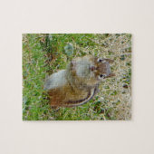 Eastern Chipmunk Legpuzzel (Horizontaal)