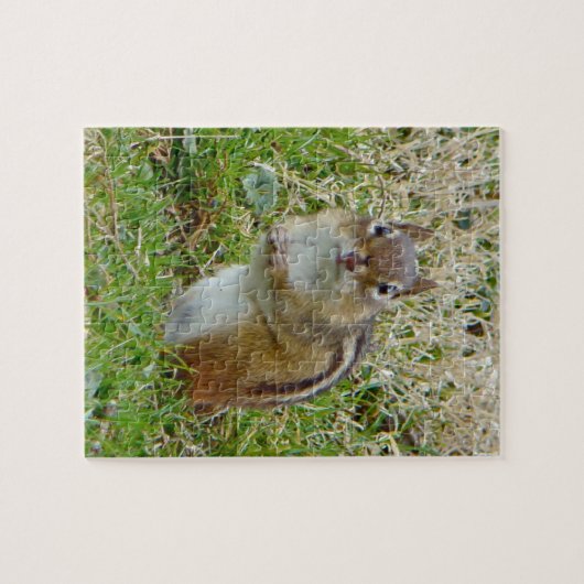 Eastern Chipmunk Legpuzzel (Horizontaal)
