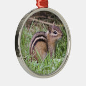 Eastern Chipmunk Metalen Ornament (Rechts)