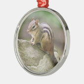 Eastern Chipmunk Metalen Ornament (Links)