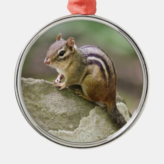 Eastern Chipmunk Metalen Ornament (Voorkant)
