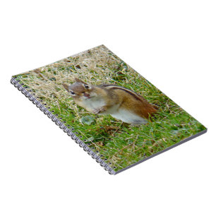 Eastern Chipmunk Notitieboek