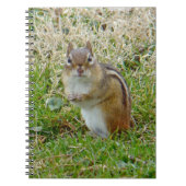 Eastern Chipmunk Notitieboek (Voorkant)