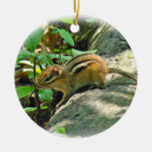 Eastern Chipmunk on Log Keramisch Ornament (Voorkant)