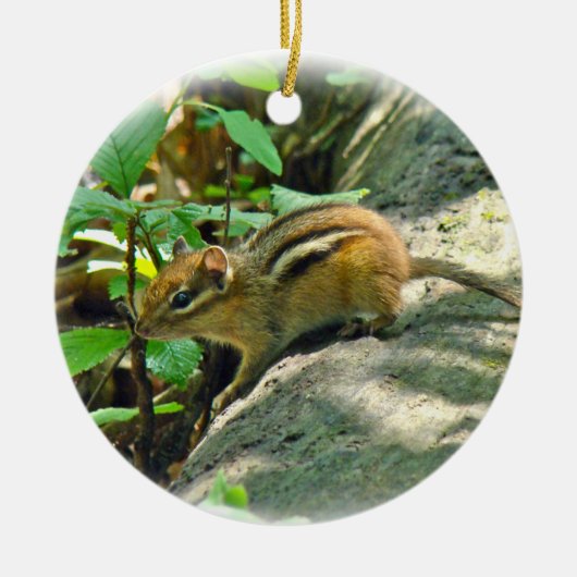 Eastern Chipmunk on Log Keramisch Ornament (Voorkant)