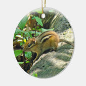 Eastern Chipmunk on Log Keramisch Ornament (Links)