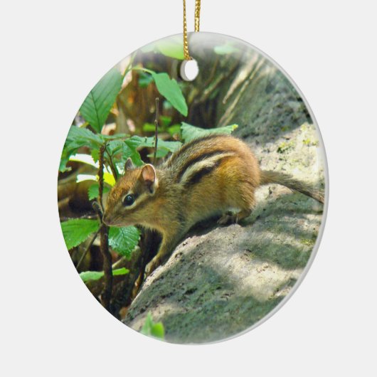 Eastern Chipmunk on Log Keramisch Ornament (Links)
