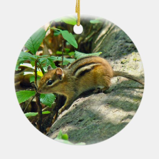 Eastern Chipmunk on Log Keramisch Ornament (Achterkant)