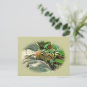 Eastern Chipmunk op Stump Briefkaart (Staand voorkant)