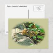Eastern Chipmunk op Stump Briefkaart (Voorkant / Achterkant)