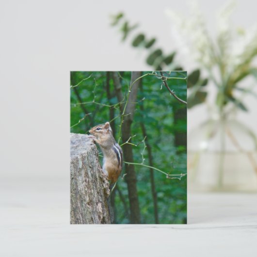 Eastern Chipmunk op Stump Briefkaart (Staand voorkant)