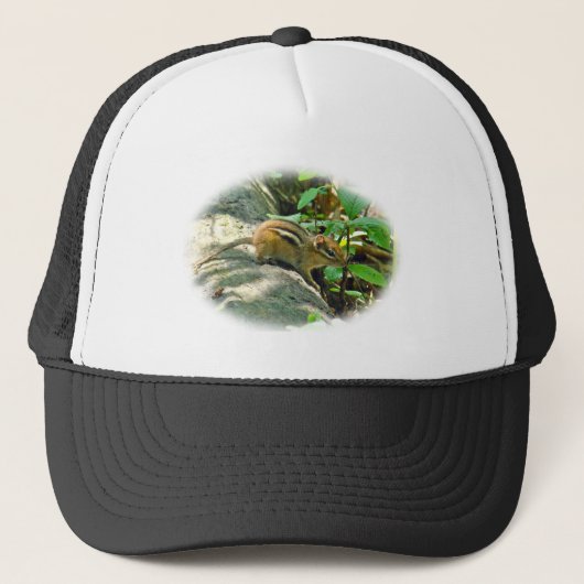 Eastern Chipmunk op Stump Trucker Pet (Voorkant)