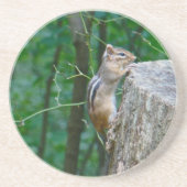 Eastern Chipmunk op Stump Zandsteen Onderzetter (Voorkant)