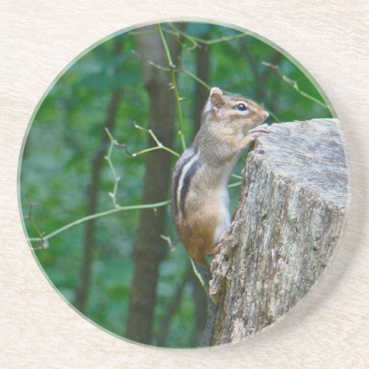Eastern Chipmunk op Stump Zandsteen Onderzetter (Voorkant)