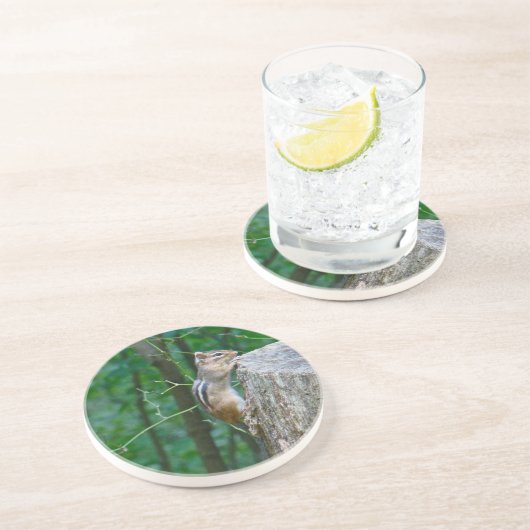 Eastern Chipmunk op Stump Zandsteen Onderzetter (Zijkant)