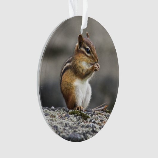 Eastern Chipmunk Ornament (voorkant)