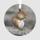 Eastern Chipmunk Ornament (achterkant)
