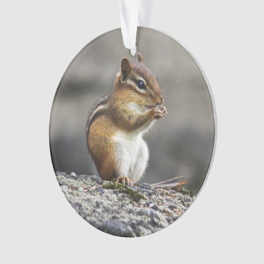 Eastern Chipmunk Ornament (voorkant)