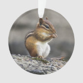 Eastern Chipmunk Ornament (voorkant)
