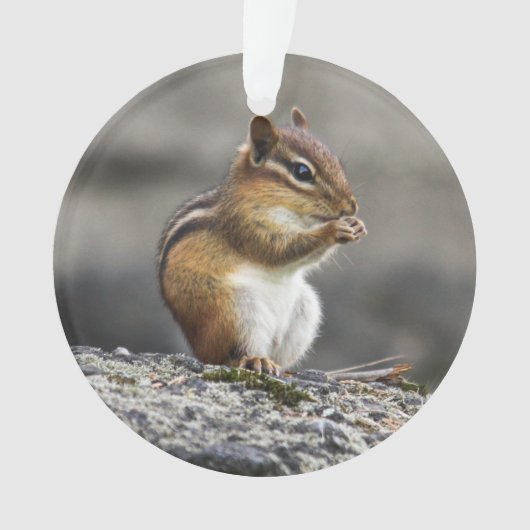 Eastern Chipmunk Ornament (voorkant)