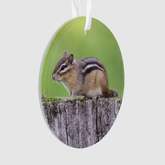 Eastern Chipmunk Ornament (voorkant)