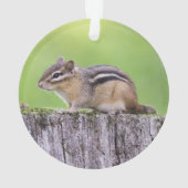 Eastern Chipmunk Ornament (achterkant)