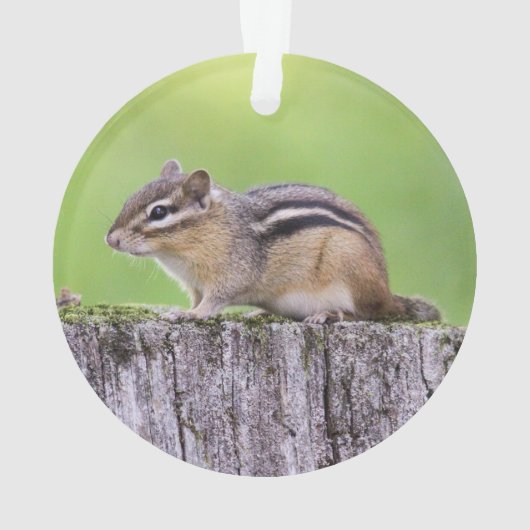 Eastern Chipmunk Ornament (achterkant)