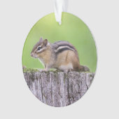 Eastern Chipmunk Ornament (voorkant)