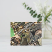Eastern Chipmunk - Tamias striatus Briefkaart (Staand voorkant)