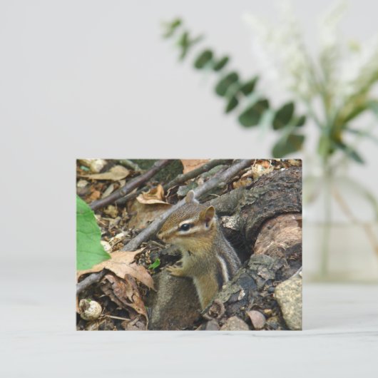 Eastern Chipmunk - Tamias striatus Briefkaart (Staand voorkant)