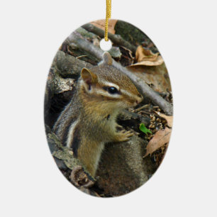 Eastern Chipmunk - Tamias striatus Keramisch Ornament