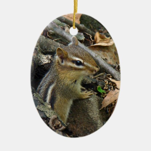 Eastern Chipmunk - Tamias striatus Keramisch Ornament (Voorkant)