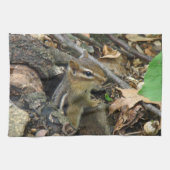 Eastern Chipmunk - Tamias striatus Theedoek (Horizontaal)