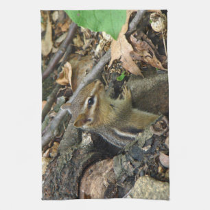Eastern Chipmunk - Tamias striatus Theedoek