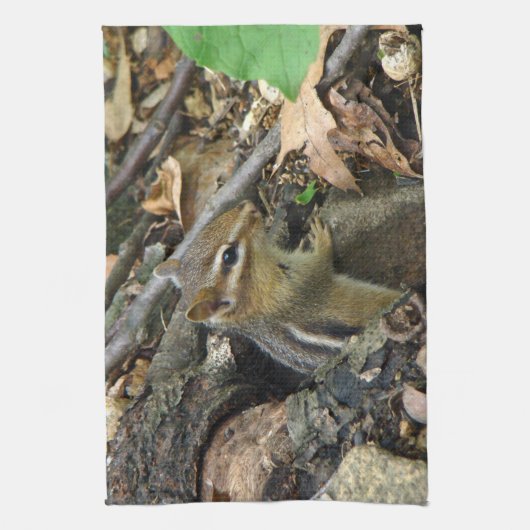 Eastern Chipmunk - Tamias striatus Theedoek (Verticaal)