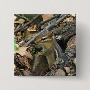 Eastern Chipmunk - Tamias striatus Vierkante Button 5,1 Cm