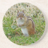 Eastern Chipmunk Zandsteen Onderzetter (Voorkant)