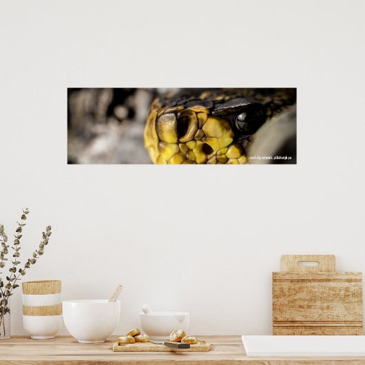 Eastern Diamondback Eye Poster (Keuken)