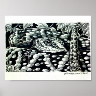 Eastern Diamondback Rattlesnake Poster