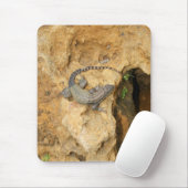 Eastern Fence Lizard Muismat (Met muis)