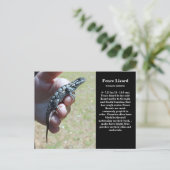 Eastern Fence Lizard SC Wildlife Briefkaart (Staand voorkant)